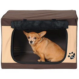 Crate Training A Chihuahua Chihuahua Training Tips