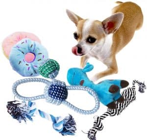 providing your chihuahua with proper toys